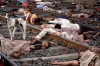 bhopal 1.jpg